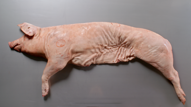 How to cut a pig